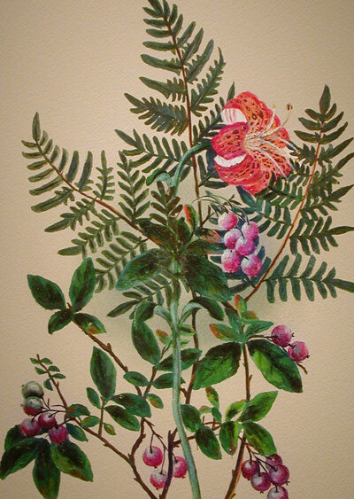 Carolina lily by Cornelia Phillips Spencer (photo by Ken Moore ).