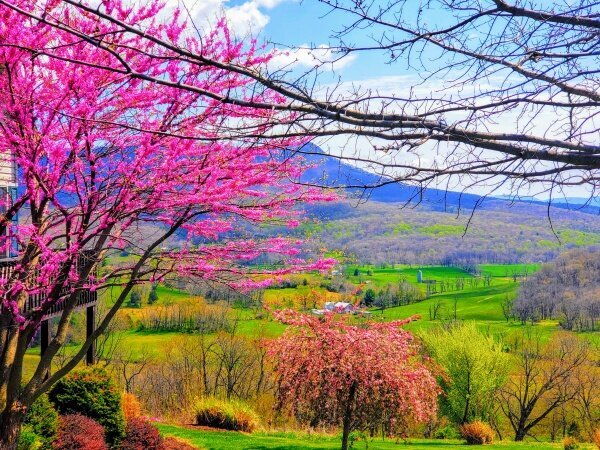 Massanutten Mountain, Virginia (photo by R. Andrew Myers).